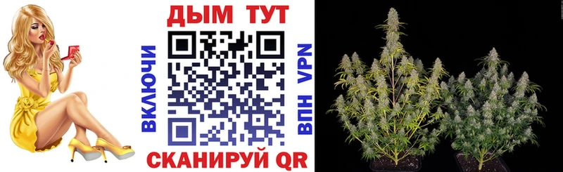 Бошки Шишки тримм  Купить закладки  Яровое 